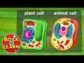 Life Science for Kids - Photosynthesis, Cells, Food Chains & More