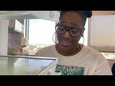 FLM 206 Draft J Solano