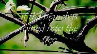 Show Yourselves to Be