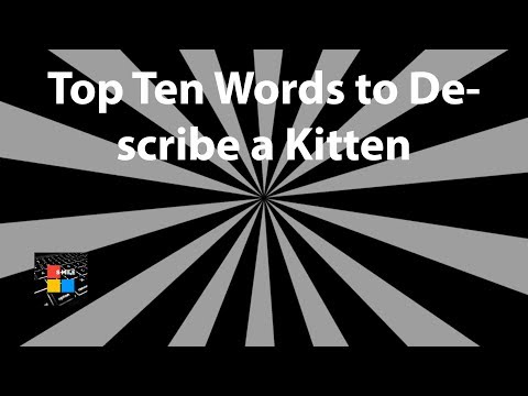 Top Ten Words to Describe a Kitten