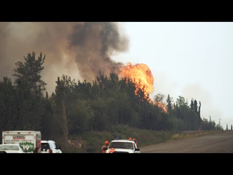 Caught in a forest fire Driving from San Diego to Alaska