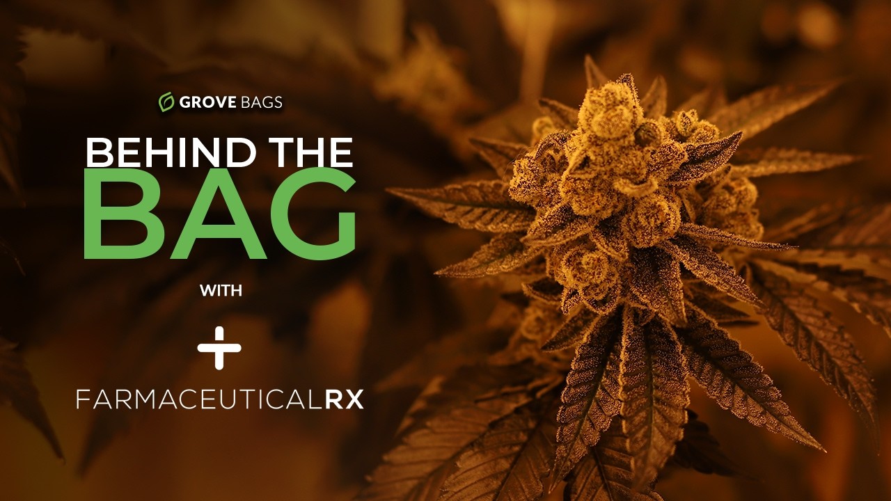 FRX | Behind the Bag