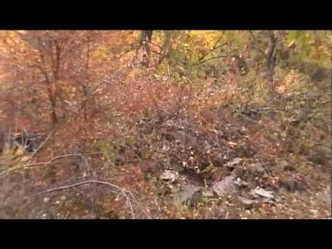 Gërmadhat e Xhamisë së vjetër - Gare