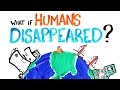 What If HUMANS Disappeared? - YouTube
