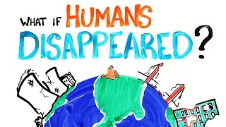What If Humans Disappeared?