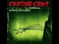 Monkey - Counting Crows