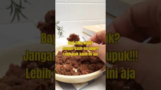 Download lagu Bayi suka Kriuk? jangan kasih kerupuk! kasih Prohe ini aja #mpasi #resep #cooking #beef mp3 Download lagu Bayi suka Kriuk? jangan kasih kerupuk! kasih Prohe ini aja #mpasi #resep #cooking #beef mp3