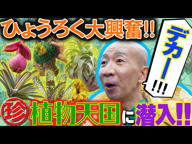 変態植物倶楽部 列島縦断！ひょうろくの未確認変態は何処に | テレビ大阪