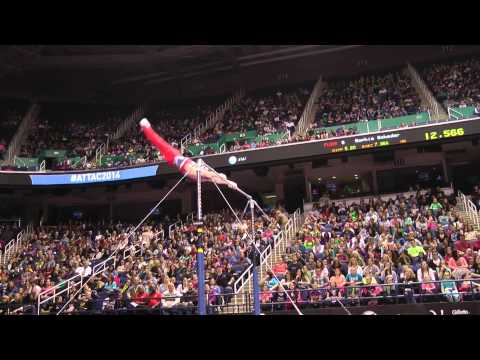 Sam Oldham - High Bar - 2014 AT&T American Cup