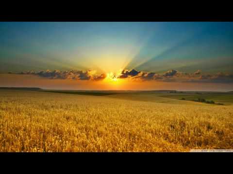 Hans Zimmer - A Way of Life  432 Hz & Full UpTempo