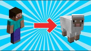 How to morph into anything with commands  Minecraf
