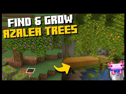 How to FIND & GROW AZALEA TREES in Minecraft! Snapshot 21w16a Review - 1.17 Caves and Cliffs Update