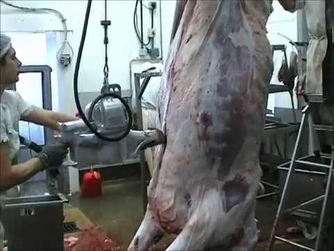 Meat Breaking Saw | Electric Beef Brisket Saw 500E