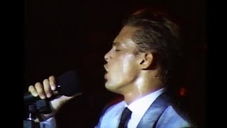 Luis Miguel | Culpable O No (En Vivo 1989 HD)