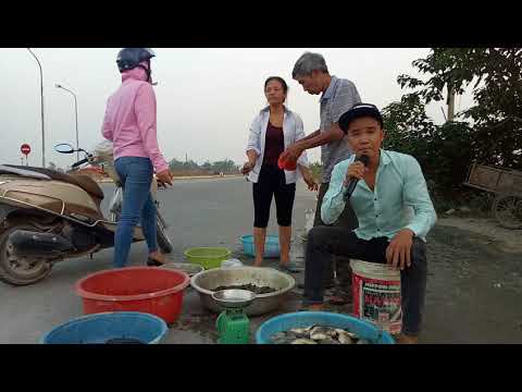 Bất ngờ với anh bán cá đường phố gây cay đắng người xem - Hài ca nhạc độc lạ Nguyễn Vịnh