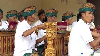 Download lagu Gamelan performance in temple, Bali mp3 Download lagu Gamelan performance in temple, Bali mp3