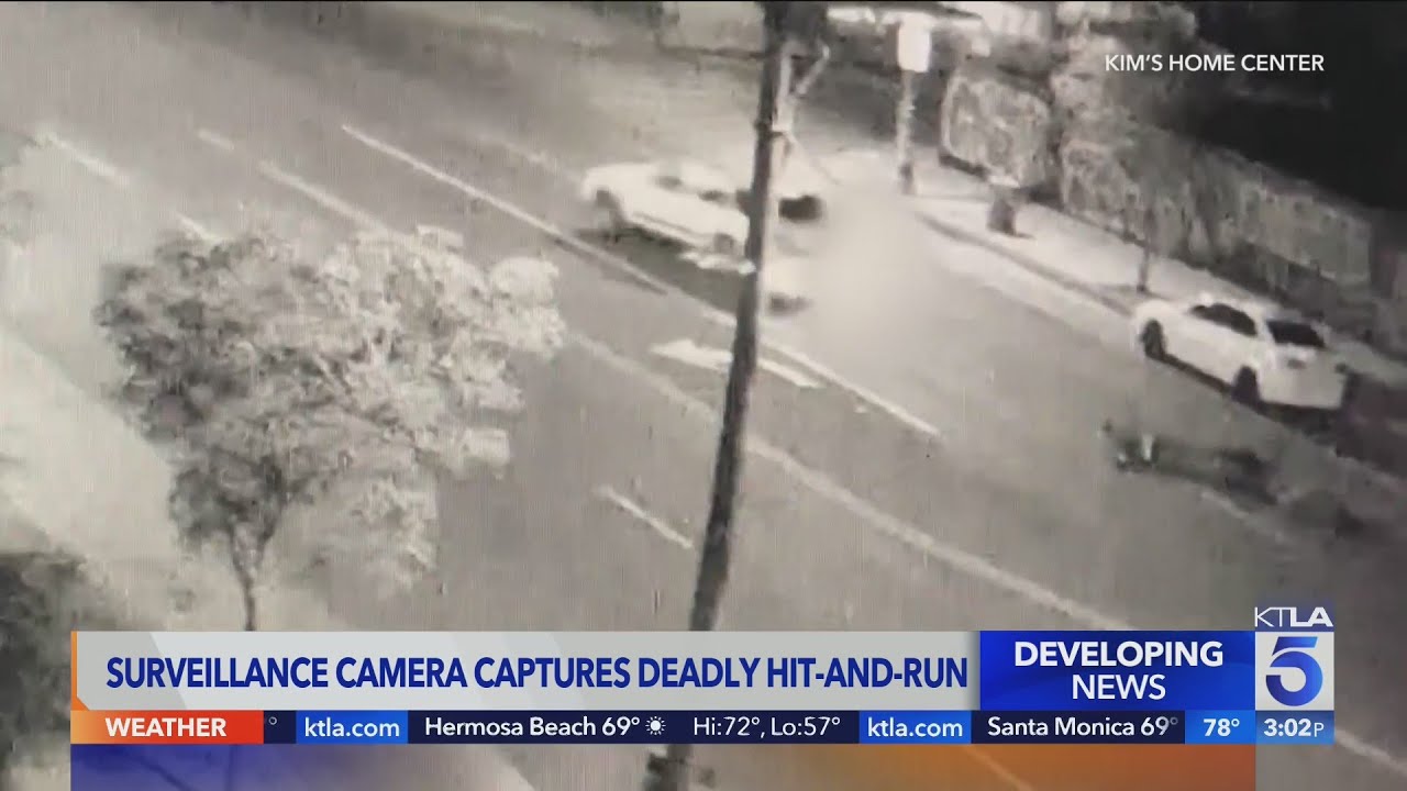 Surveillance camera captures deadly hit-and-run