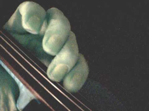 Violin close up Titanic "My Heart will go on" au violon Intro