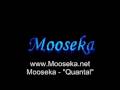 Mooseka - Quantal 