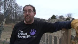 The Animal Rescue Site's Tim Kunin Helps Out At Rescue U