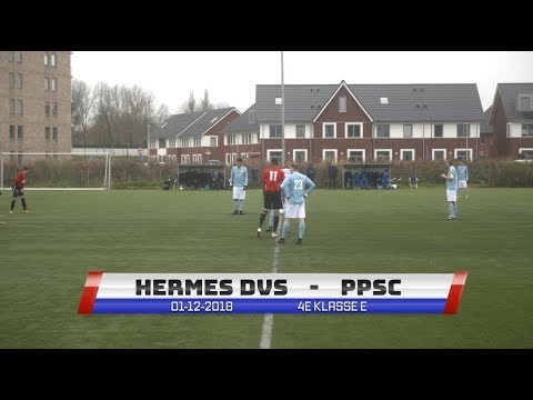 Samenvatting Hermes DVS - PPSC Schiedam [01-12-2018]