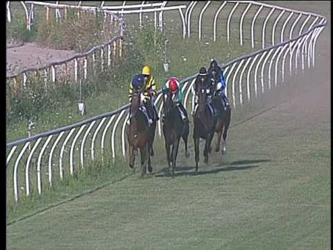 Galoppo 19/07/2017 - 1ª corsa