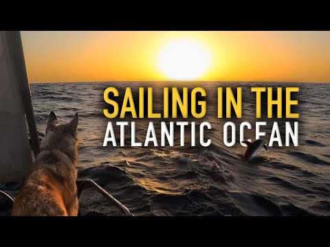 Atlantic Ocean Crossing with a dog: Canary Islands to Cape Verde | Sailing Sunday | Ep.150