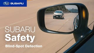  Safety Features | Blind-Spot Detection (2023)