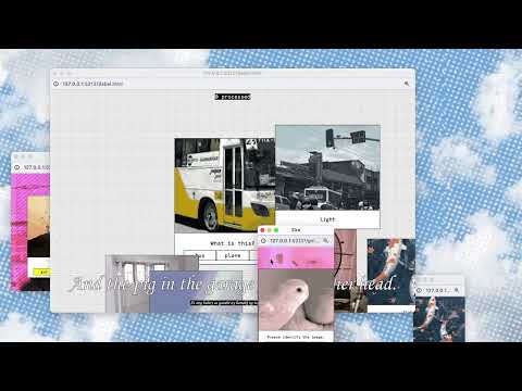 Data Labeler Dream Transcendence — video
