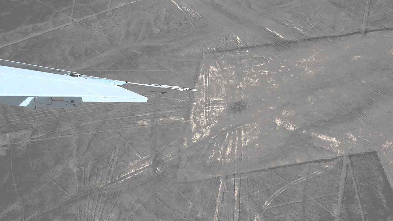 Nazca lines, the condor