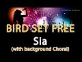 Sia 'Bird Set Free' Instrumental Karaoke Version ...