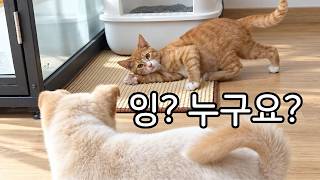 아치 : 이거 나만 불편해?