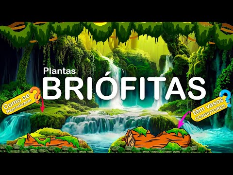 BRIÓFITAS – AS PRIMEIRAS PLANTAS TERRESTRES