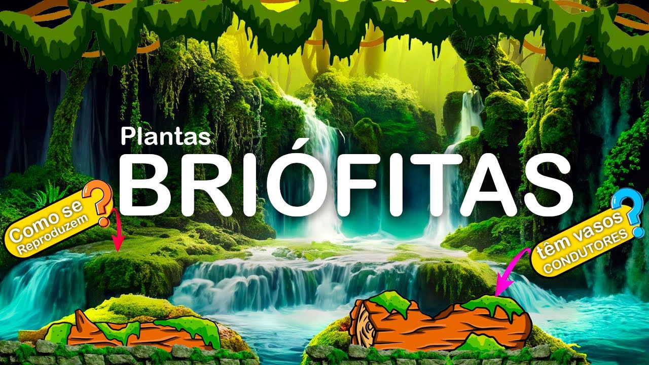 BRIÓFITAS – AS PRIMEIRAS PLANTAS TERRESTRES