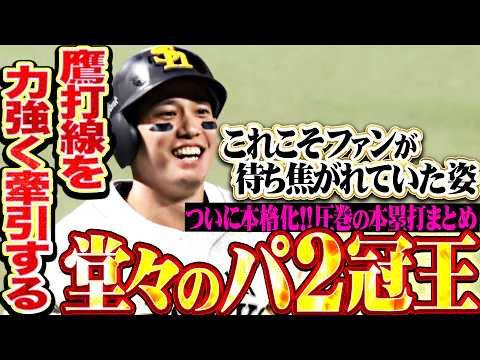 福岡ソフトバンクホークスの特徴・注目選手を紹介!|グッズ販売店の詳細も!【ワクタカスポーツ 2026年版】 59 動画サムネイル