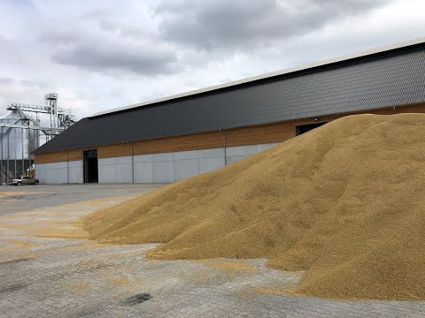 Saunsøgård. Sukup Dancorn tørreri & kornanlæg 2019. Driftes af Overgaard Gods