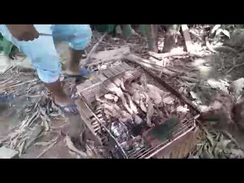 Churrasco 25, 12 , 2018