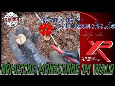 Roman coin finds in the forest