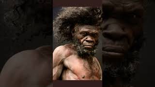 Download lagu how humans look like 300000 years ago. mp3