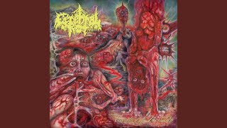 Music video thumbnail preview for Cerebral Rot - Drowned in Malodor - Maryland Deathfest 2022 by Cerebral Rot