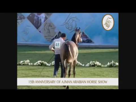 Ajman 2017 - Class 2A