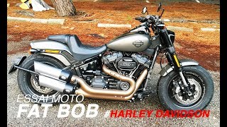 Harley Davidson Fat Bob 2019 : belle (re)mise à jour !