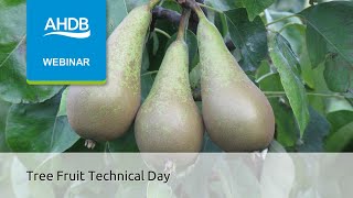 Tree Fruit Technical Day