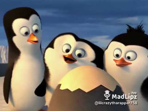 Savage ass penguin has no chill 😂😂