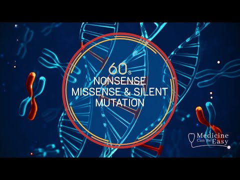 Genetics in 60 seconds: Nonsense, Missense, Silent Mutations