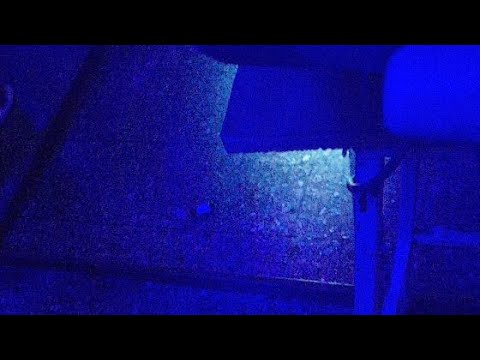 Reinas De La Noche 5 AllStars - Lanzamiento