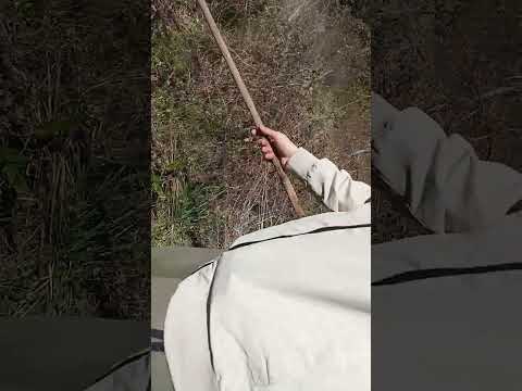 La prima esplorazione (quasi beccati)