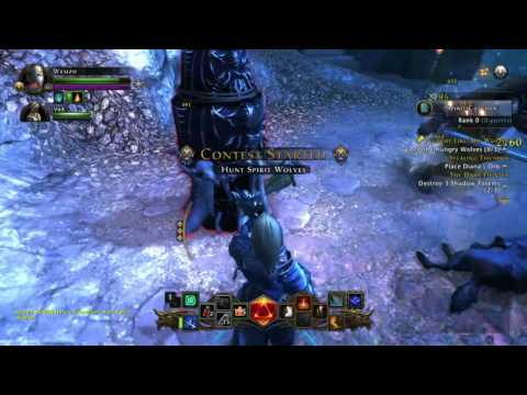 Neverwinter: Devoted cleric Class - DPS/Healer