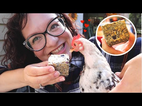 These EASY Homemade "Suet" Cakes Keep Chickens WARM and FUZZY! 😋🐔❤️