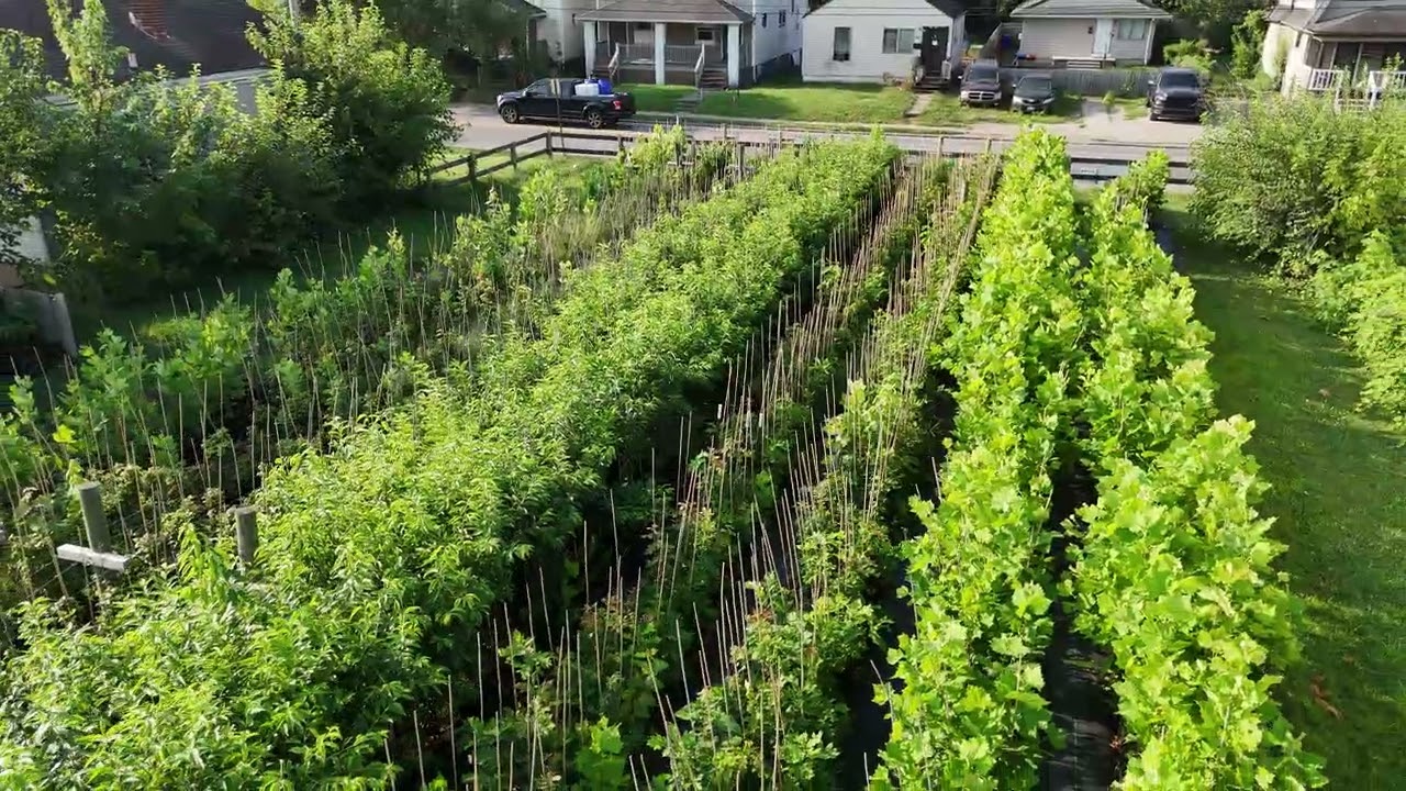 Green Columbus aerial footage